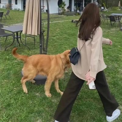 永生劫难